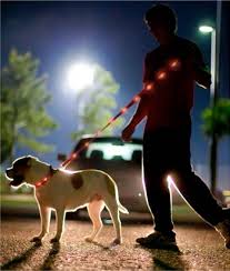 Dog-e-glow - Orange Patch - Leash - 5 foot