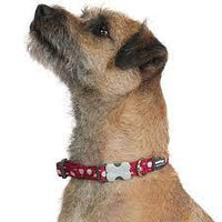 Red Dingo - Turquoise & White Star Dog Collar - Medium