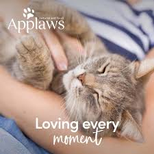 Applaws - Cat Pouch Tuna Wholemeat With Salmon In Jelly - 70g