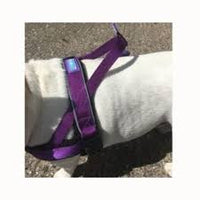 Dog & Co - Reflective & Padded Norwegian Harness - Red - Medium