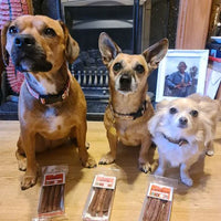JR Pet Products - Pure Turkey Stick - 50g