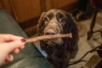 JR Pet Products - Pure Turkey Stick - 50g