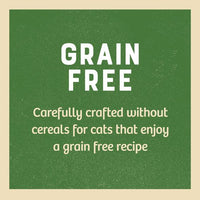 James Welbeloved -  Turkey Grain Free - Senior Cat - 85g Pouch - Single Pouch
