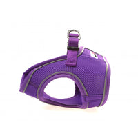 Doodlebone - Originals Snappy Harness - Violet - Size 5