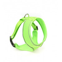 Doodlebone - Originals Airmesh Harness - Aqua - Size 3
