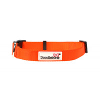 Doodlebone - Originals Collar - Tangerine - 6-11
