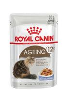 Royal Canin - Cat Ageing 12+ in Jelly 85g pouch - 12 Pack
