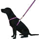 Red Dingo - Navy/White Spot Dog Lead - Medium