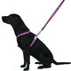 Red Dingo - Unicorn Purple Design Dog Lead - Medium