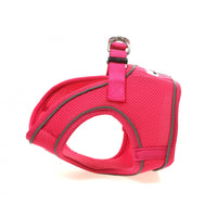 Doodlebone - Originals Snappy Harness - Fuchsia - Size 3
