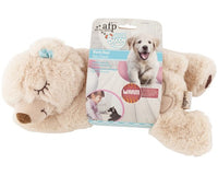 All For Paws - Little Buddy Warm Bear
