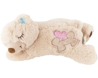 All For Paws - Little Buddy Warm Bear
