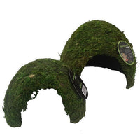 Komodo - Natural Moss Cave - Small