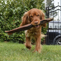 Anco - Naturals Giant Camel Stick Dog Treat