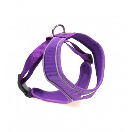 Doodlebone - Originals Airmesh Harness - Violet - Size 3