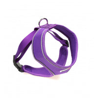 Doodlebone - Originals Airmesh Harness - Violet - Size 6-7