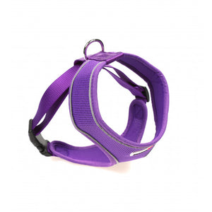 Doodlebone - Originals Airmesh Harness - Sapphire - Size 1