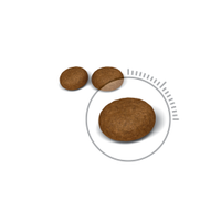 Royal Canin - Cat Hair & Skin Care 33 - 400g