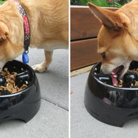 Dogit - Go-Slow (Anti Gulp) Bowl - Black - Med