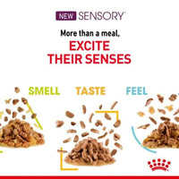Royal Canin - Sensory Cat Food - Variety Multipack (in gravy)