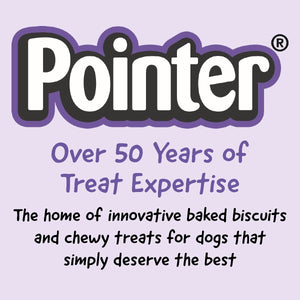 Pointer - Charcoal Large Bones