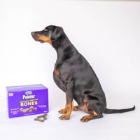 Pointer - Charcoal Large Bones
