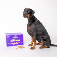 Pointer - Chicken Gravy Bones
