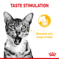 Royal Canin - Sensory Cat Food - Variety Multipack (in gravy)