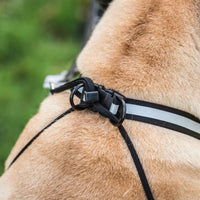 Mikki - Anit Pull Harness - Extra Large