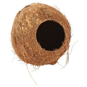 Happy Pet - Coconut Hut