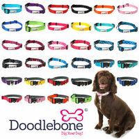 Doodlebone - Originals Nylon Collar - Blush - 3 to 6