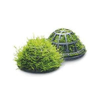 Superfish - Moss Dome