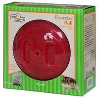 Walter Harrison's - Exercise Ball - Small
