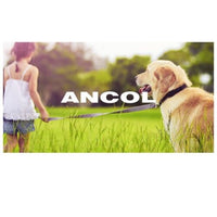 Ancol - Small Bite Bandana - Small/Medium (10cm)