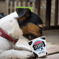 Marshfield Farm - Scoop's Ice Cream for Dogs - Vanilla - 125ml