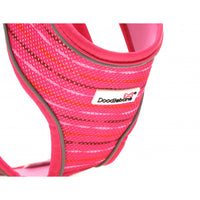 Doodlebone - Originals Pattern Airmesh Harness - Pink Addiction - Size 2
