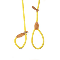 Doodlebone - Originals Slip Lead - Sunshine - 12mm
