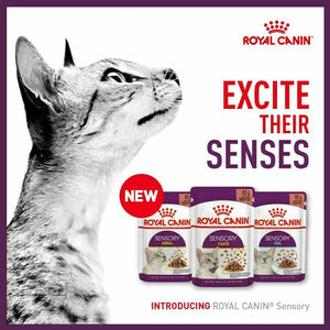 Royal Canin - Sensory Cat Food - Variety Multipack (in gravy)